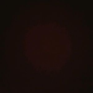 Meet your Posher, Alexanderea